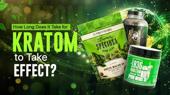 How Long Does It Take for Kratom to Take Effect