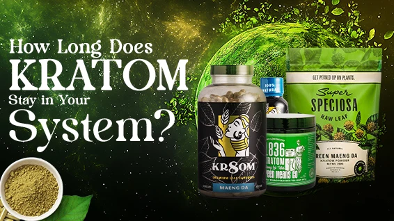 How Long Does Kratom Stay in System