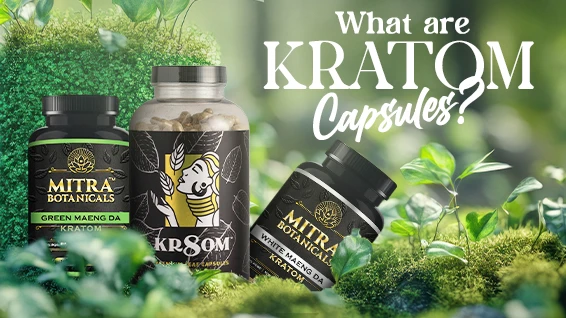 What are Kratom Capsules