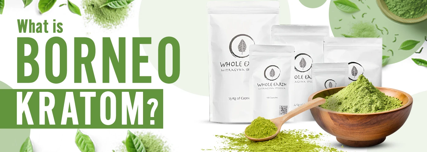 What is Borneo Kratom