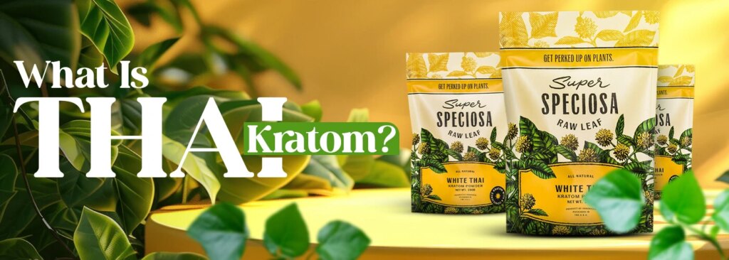 What is Thai Kratom