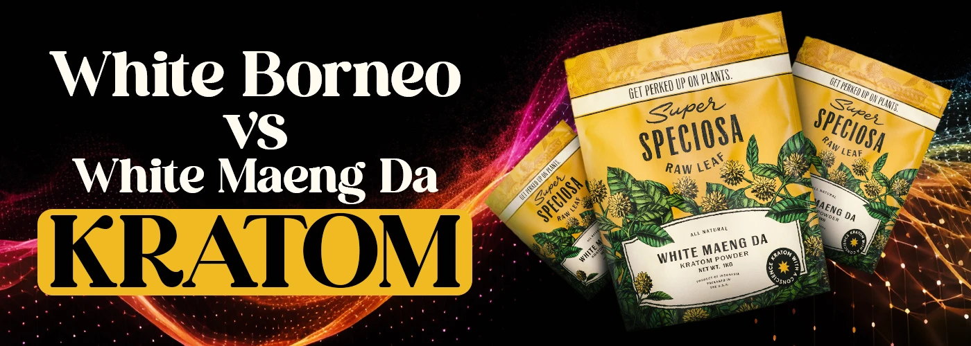 White Borneo vs White Maeng Da Kratom