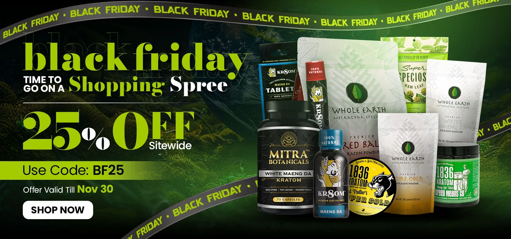 Black Friday Sale 2025