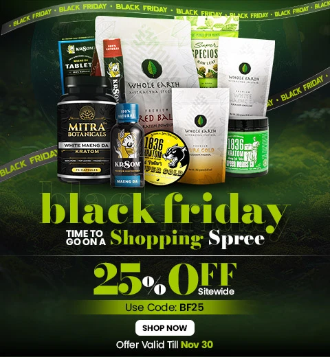 Black Friday 2025 Mobile Banner