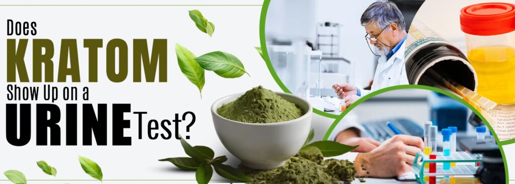 Does Kratom Show Up in a Urine Test