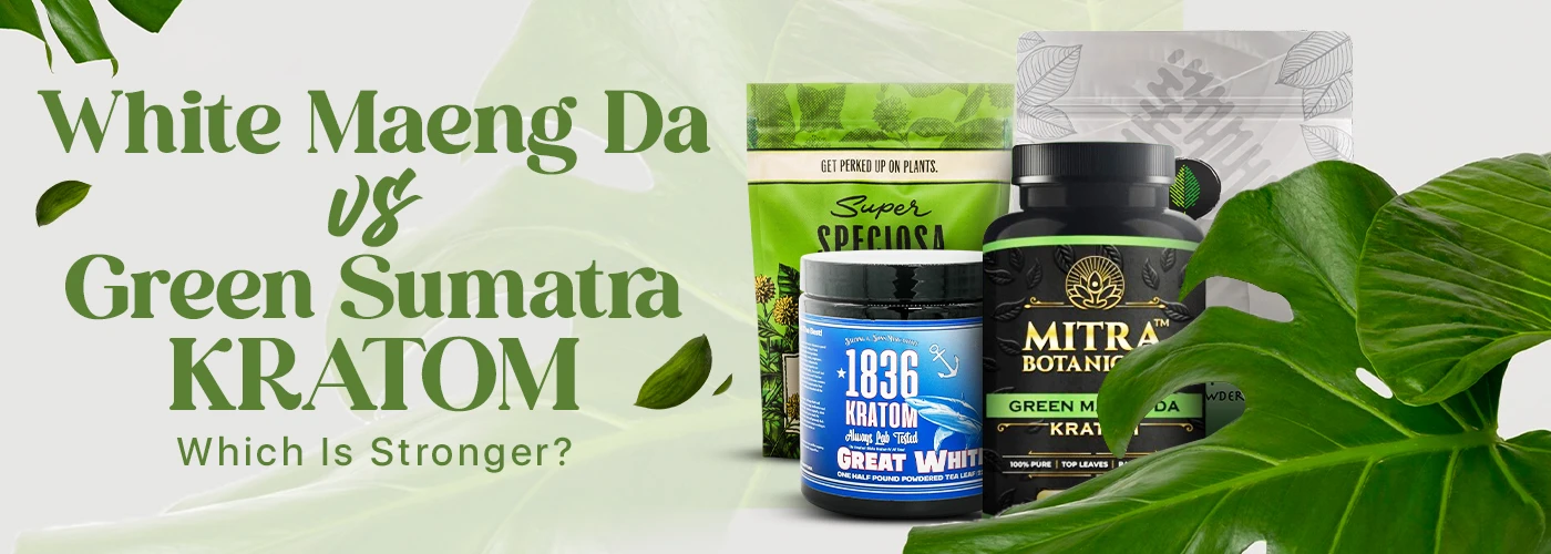 Green Sumatra Kratom