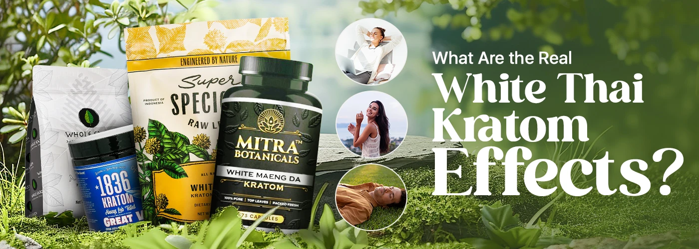 white thai kratom effects