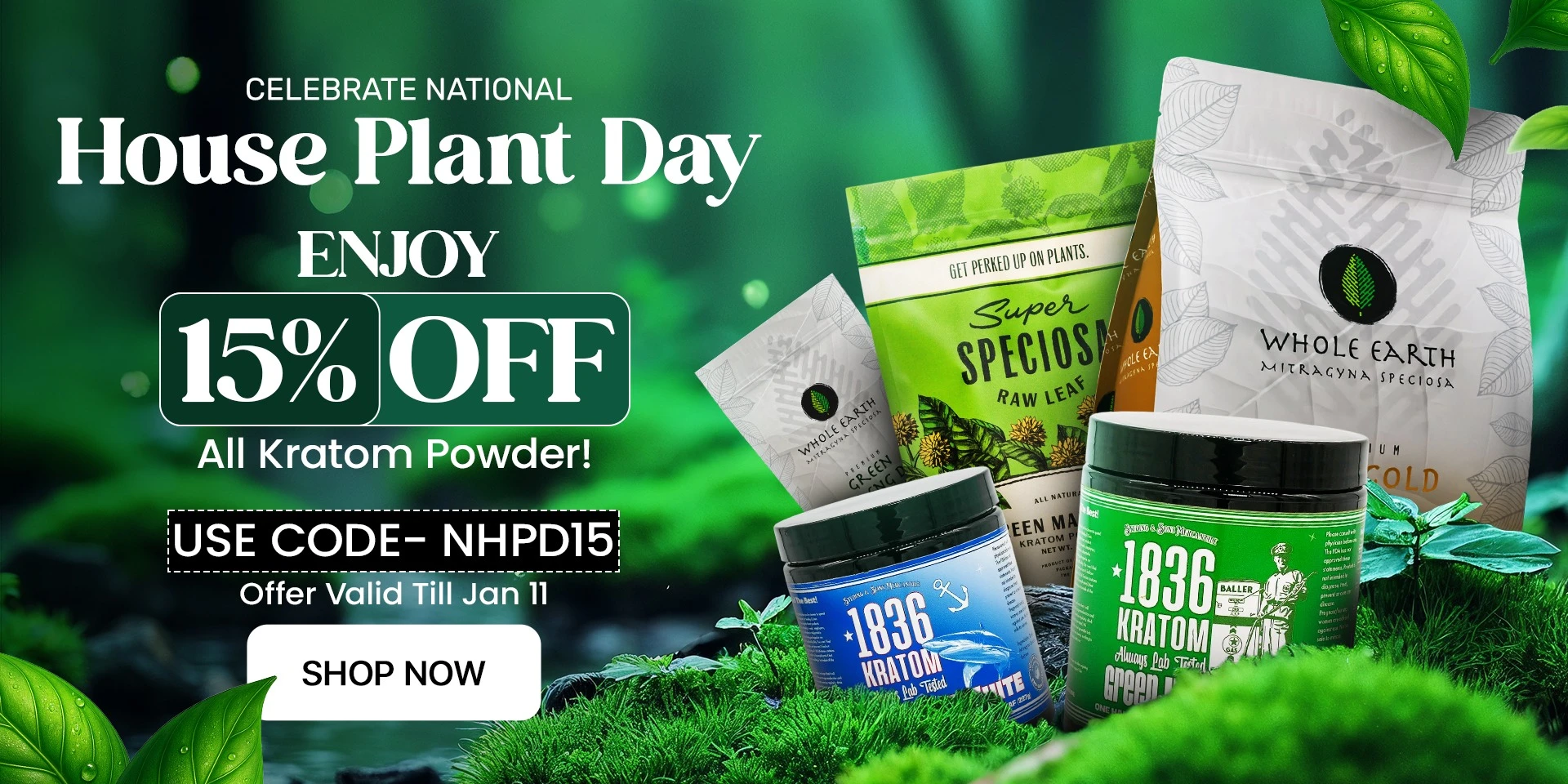 Celebrate National House Plant Day Enjoy 15% OFF All Kratom Powder!