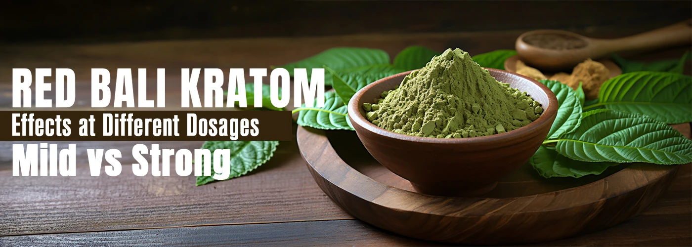 red bali kratom effects