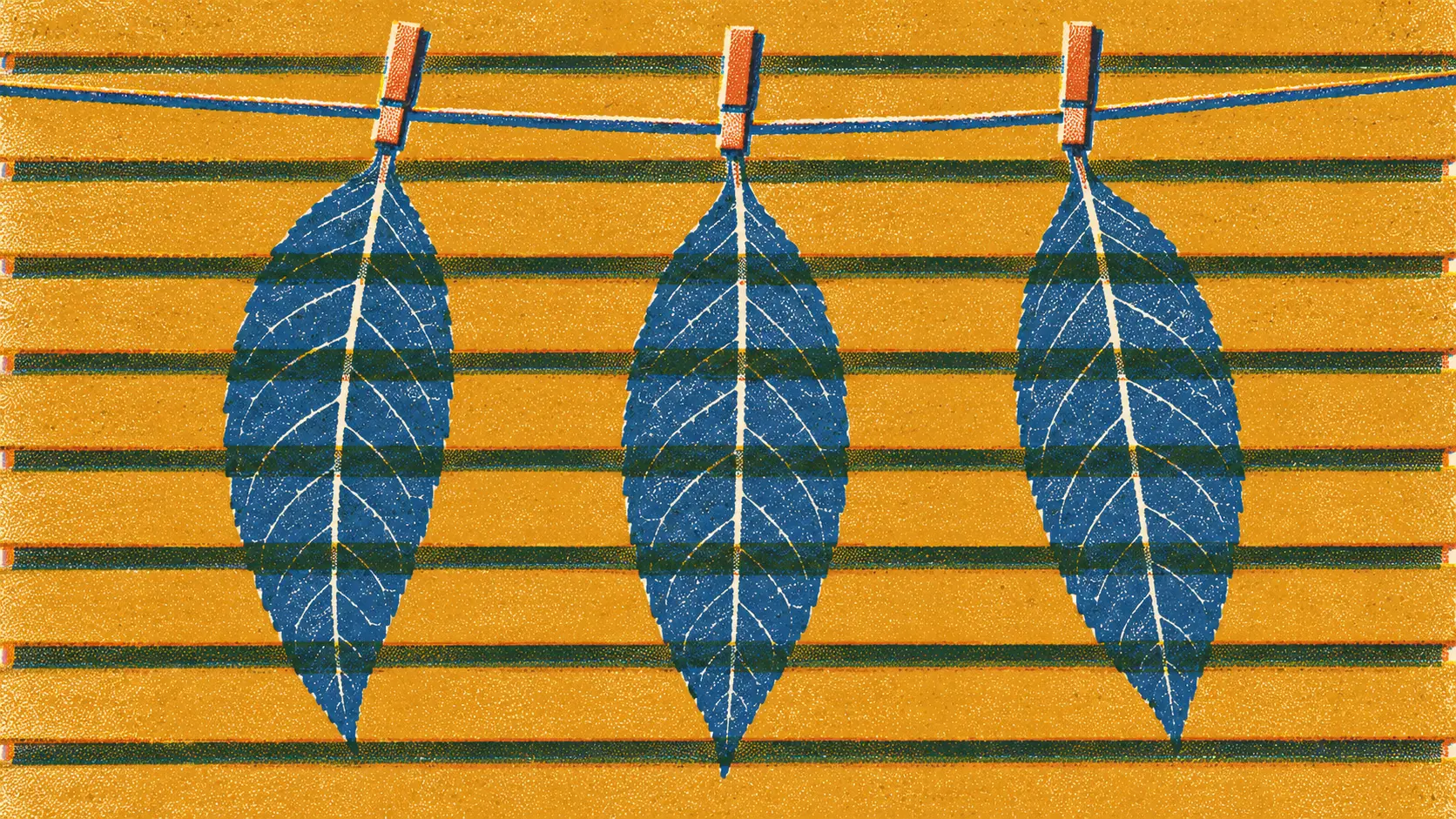A risograph print of three kratom leaves hanging from a line in front of a bank of wide horizontal louver slats, printed in overlapping inks that darken where the leaves cross the slats.